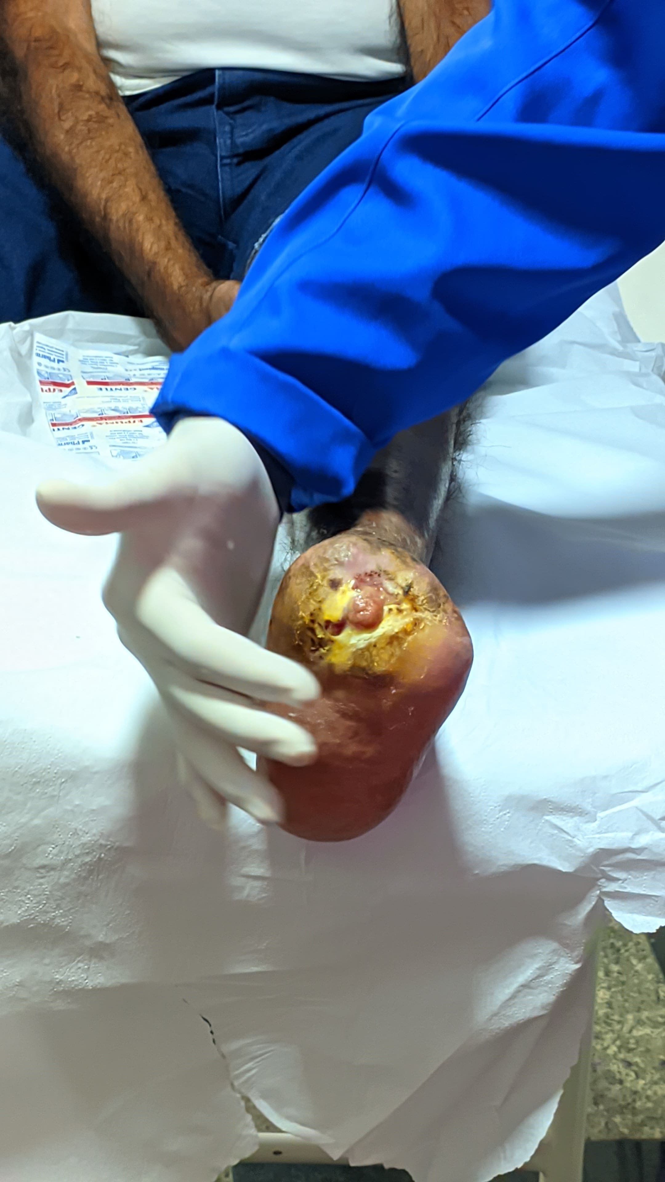 Imersão FFC — edição anterior (registro 17)